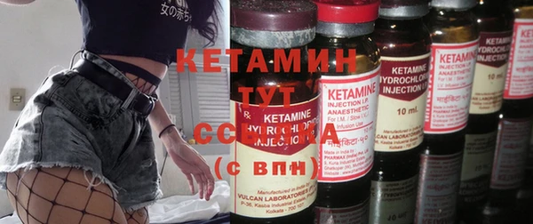 шишки Заволжск
