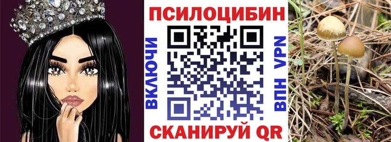 Псилоцибиновые грибы Psilocybine cubensis Сафоново