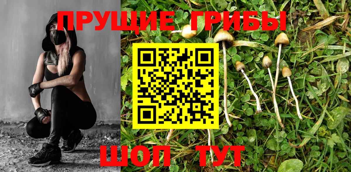 Псилоцибиновые грибы мухоморы  Вход с VPN  Сафоново 